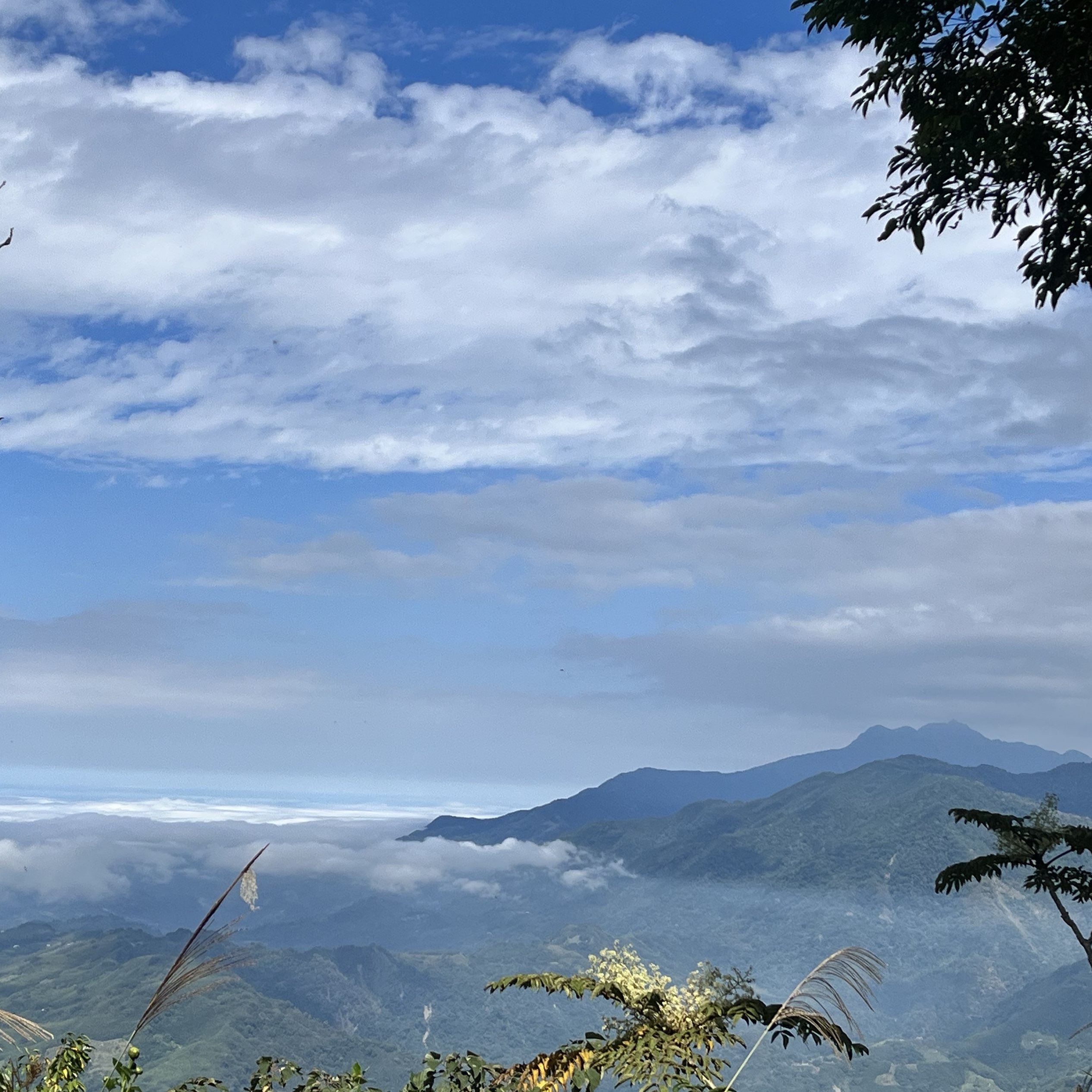 周末帮自己安排了一趟「马拉邦山小百岳赏枫一日游」  位于苗栗泰安乡的马拉邦山，是台湾的小百岳之一，也
