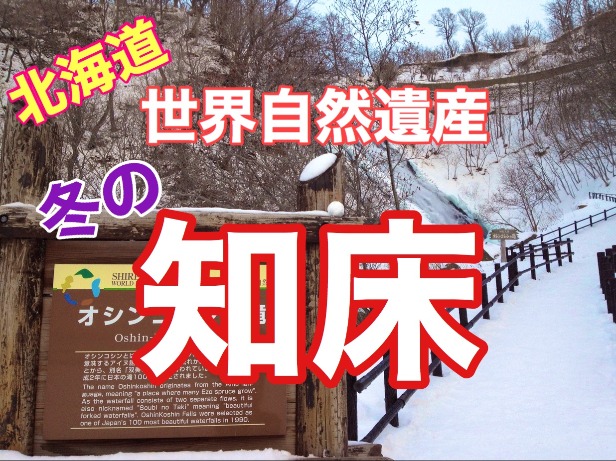 北海道世界自然遗产冬季知床漫步❗️