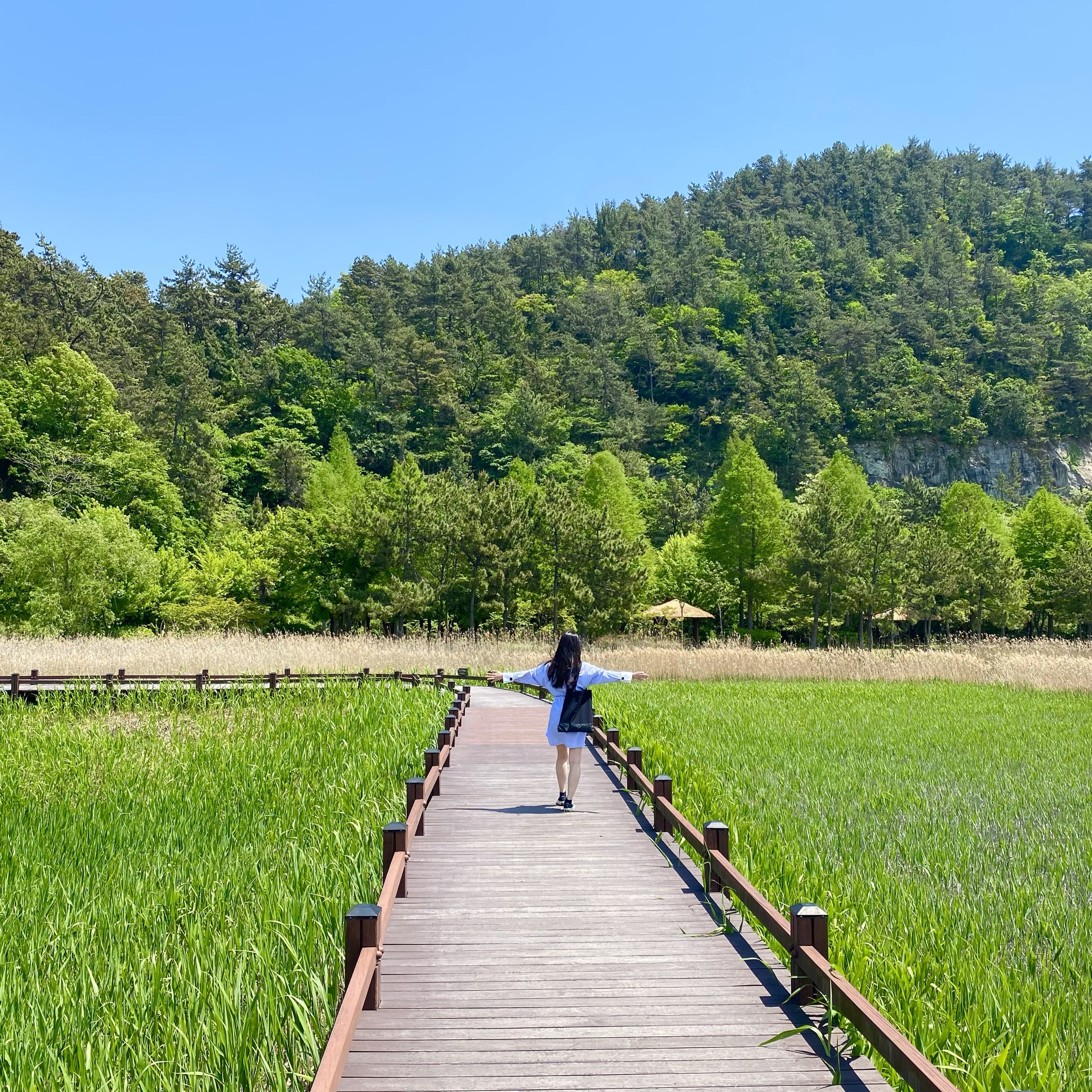 顺天湾湿地公园,我想回去一次枫叶之旅