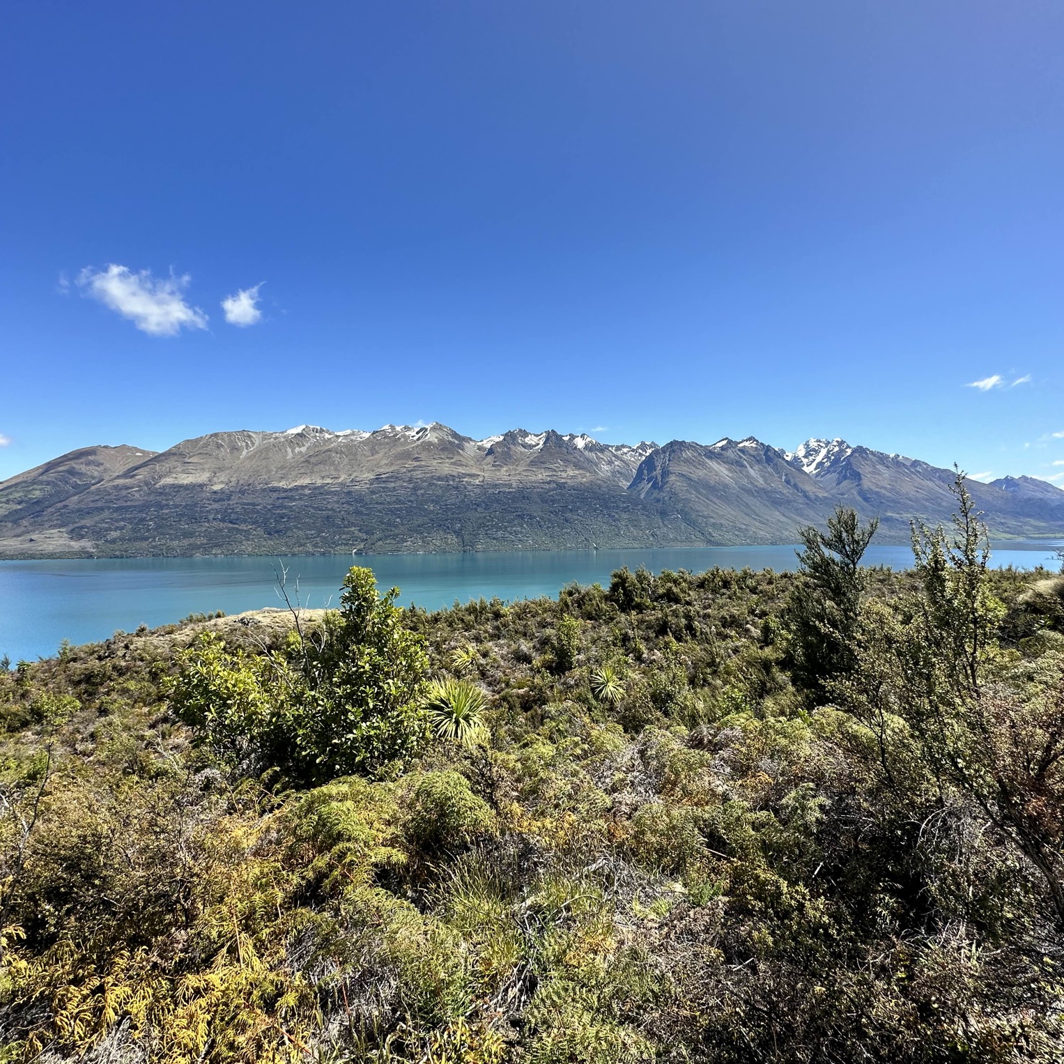 NZ 新西兰 南岛 皇后镇 Bennetts Bluff Viewpoint