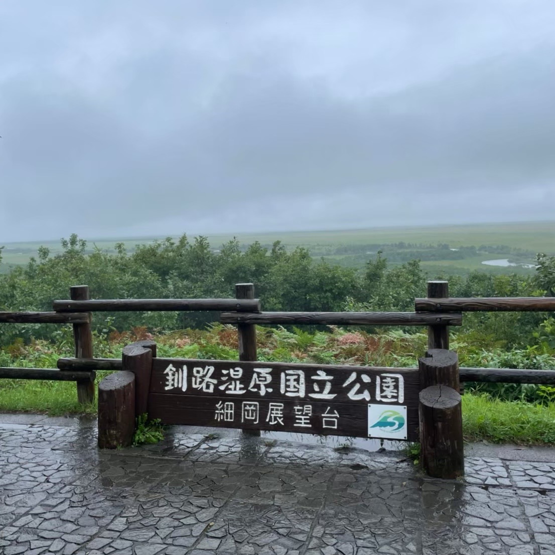 【北海道】代表路湿原的景点、细冈展望台!
