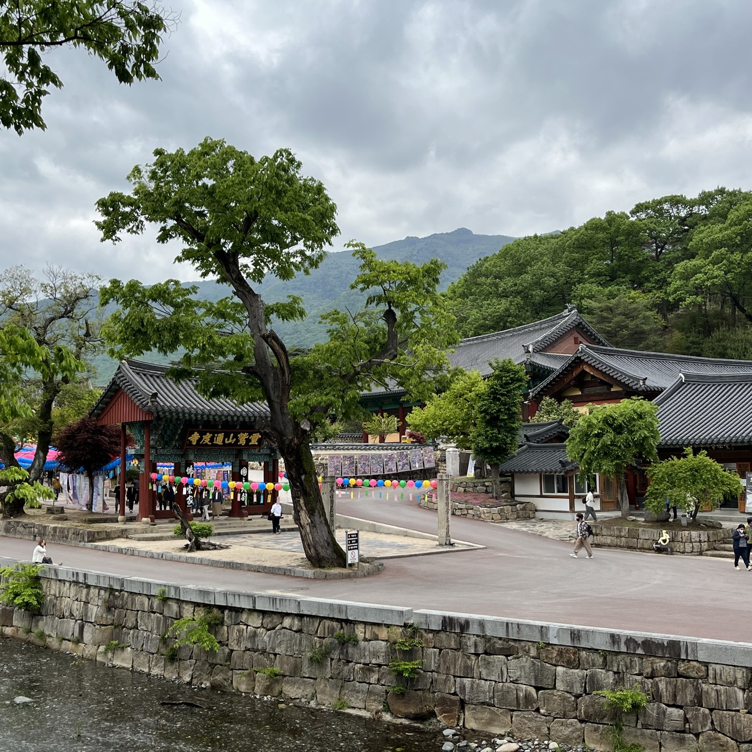 阳山通道寺