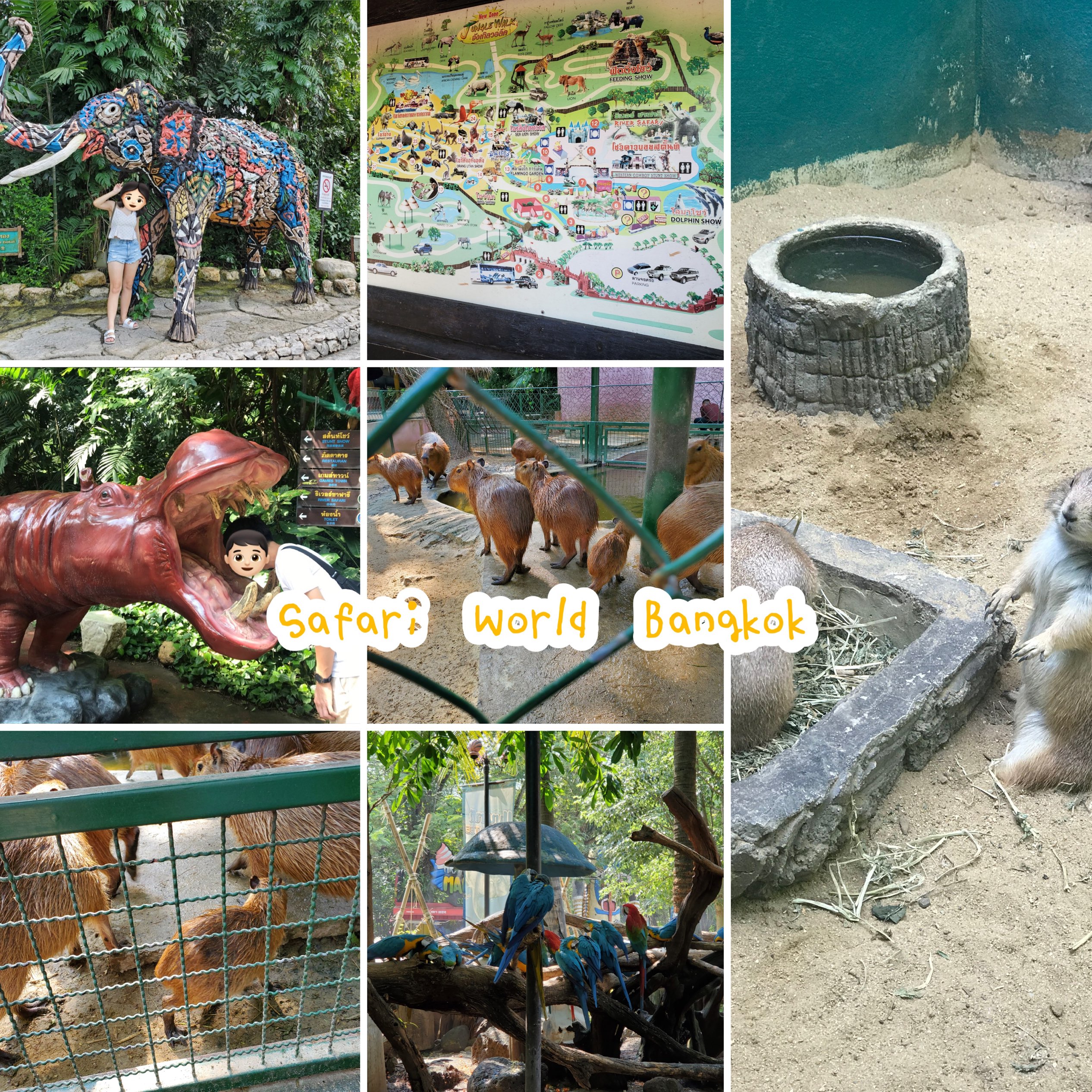 曼谷最大野生动物园👍🏻半日亲子好去处