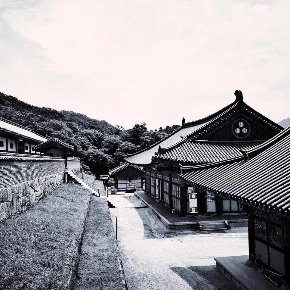 📸海仁寺,拥有八万大藏经的寺庙[黑白风景]