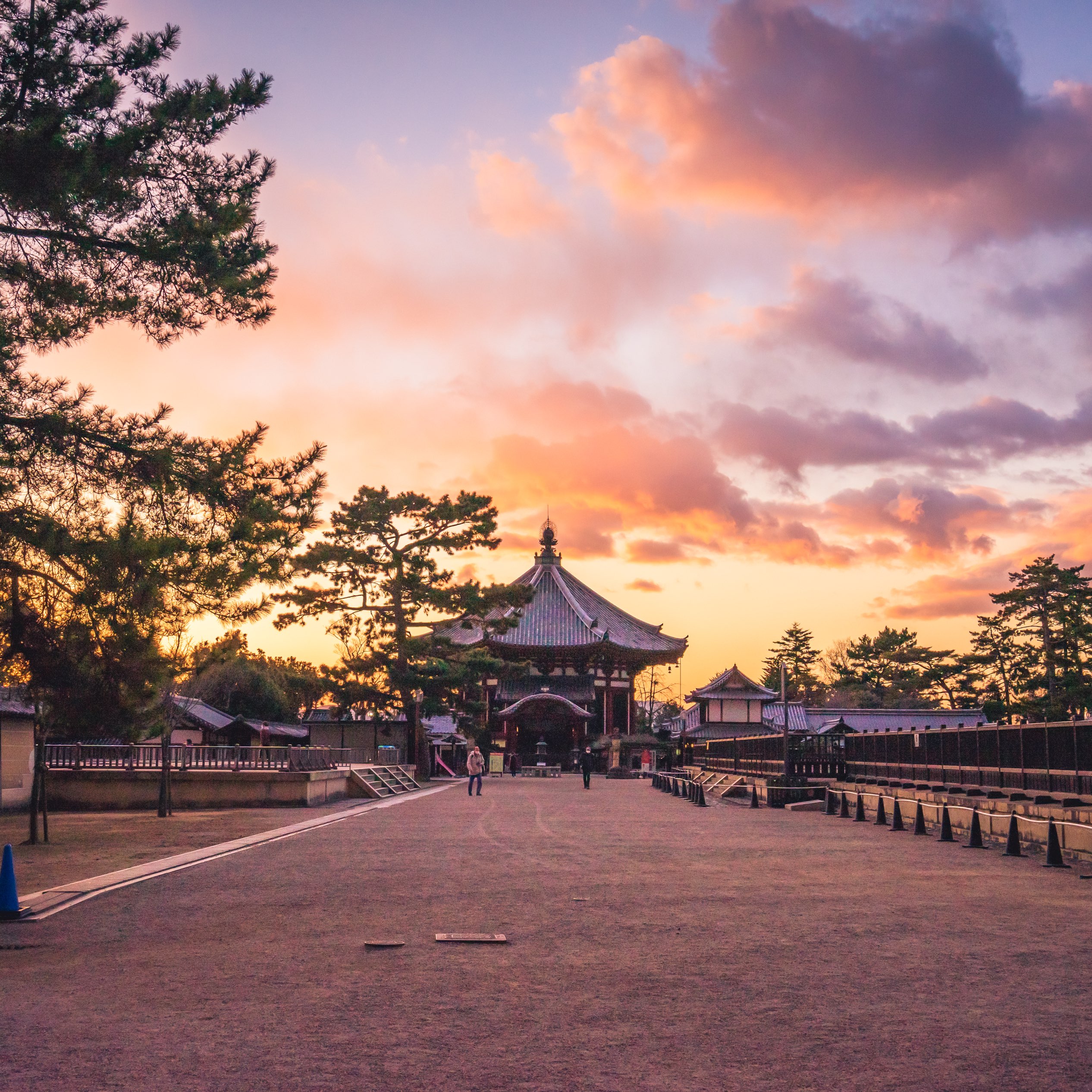 【奈良·兴福寺】奈良必去的景点