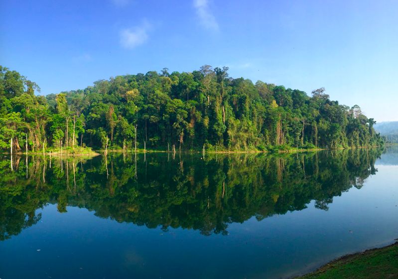 马来西亚 ｜ 柏隆皇家公园自然之旅