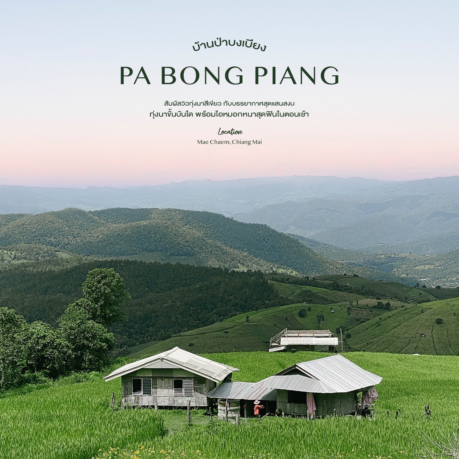 Ban Pa Bong Piang - 体验绿色梯田的景色