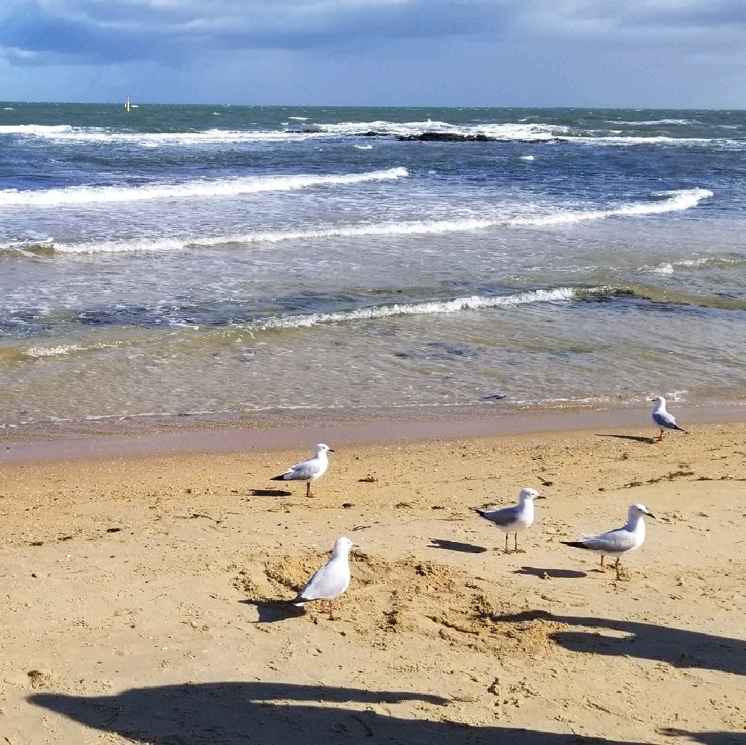 无敌海景 ～ Brighton Beach