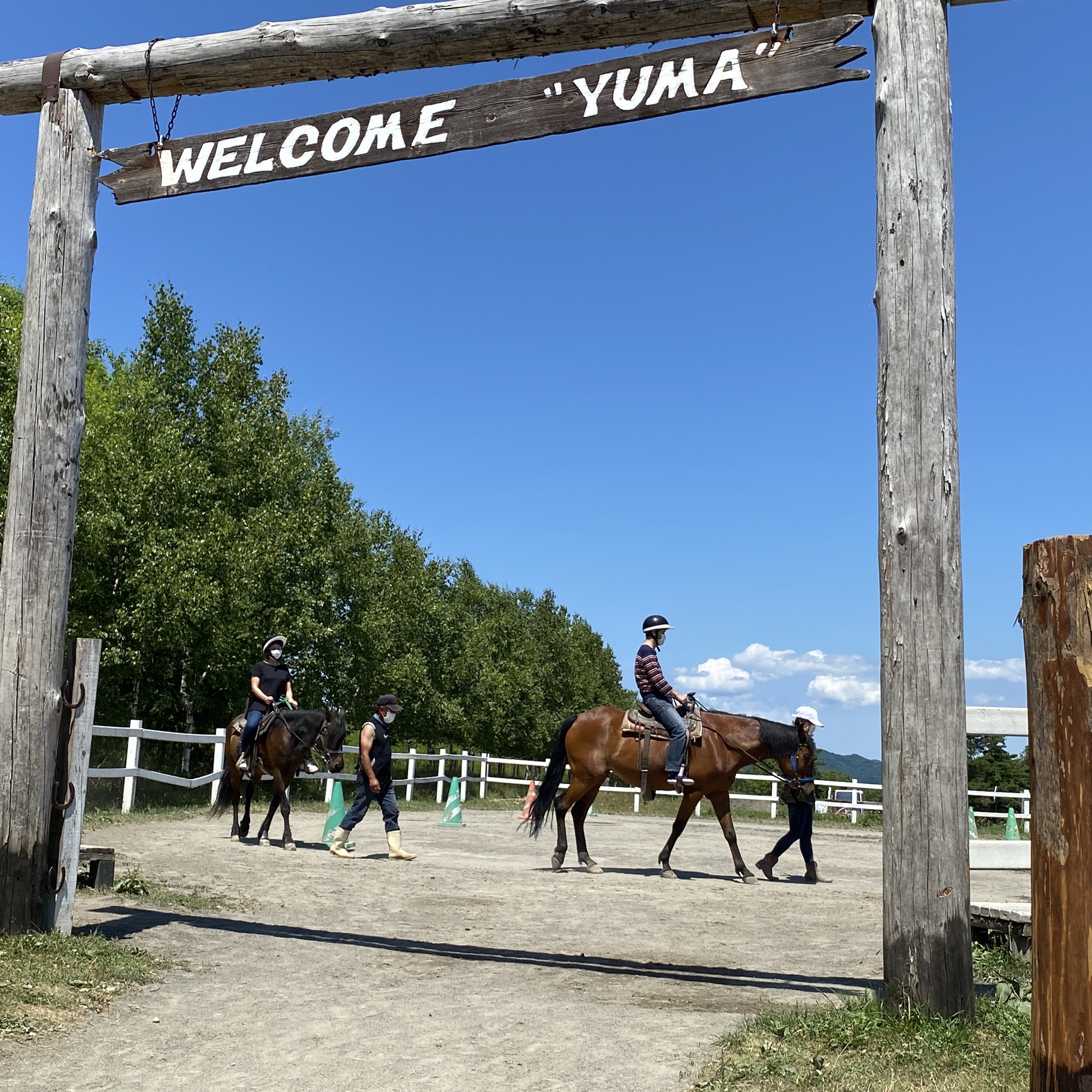 【北海道】北海道大自然骑马体验