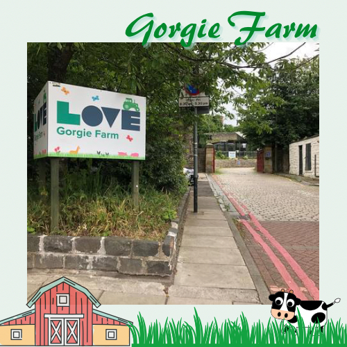 爱丁堡城市中的友好小农场Gorgie Farm