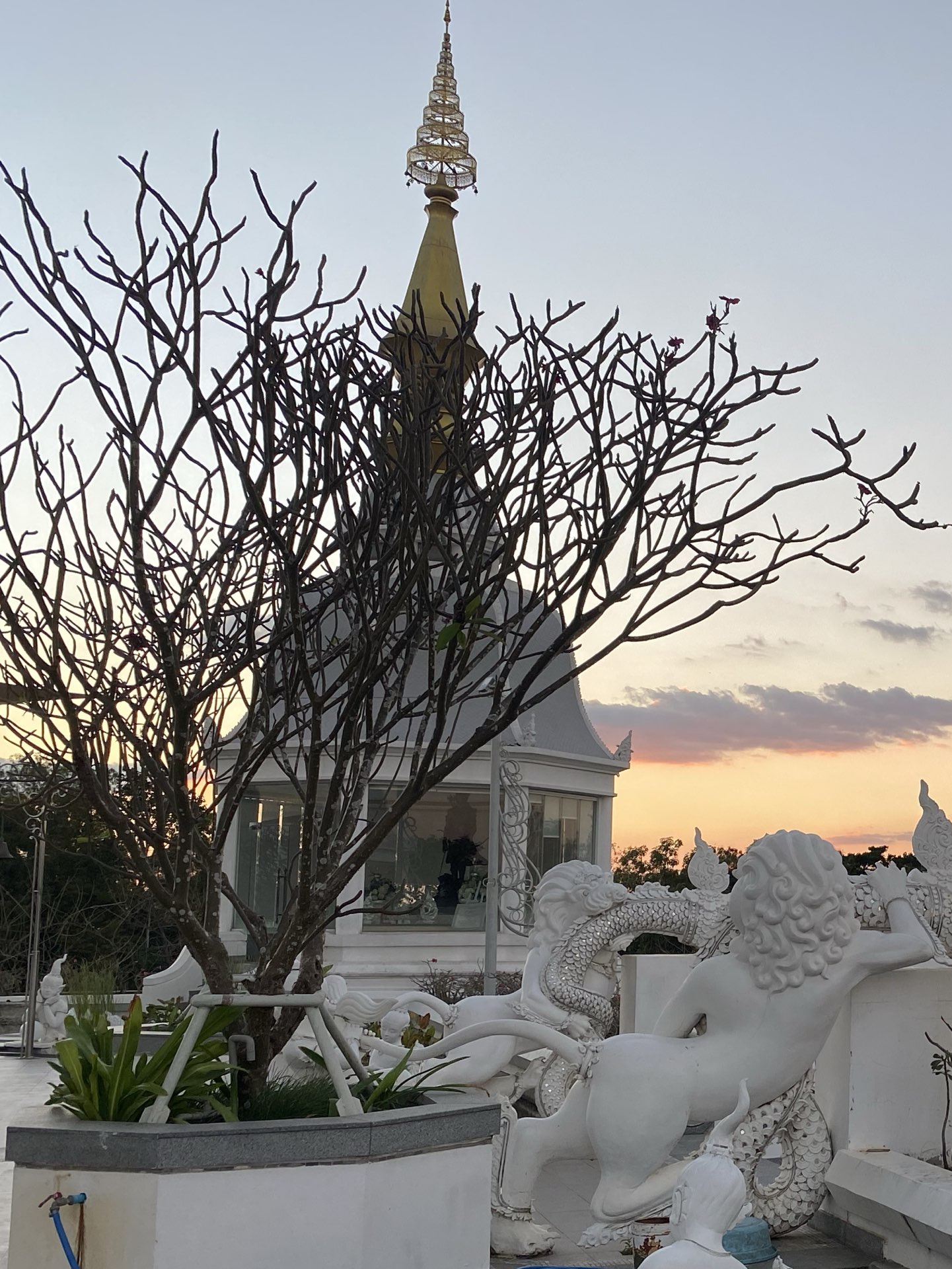 Wat Thung Setthi | Khon Kaen