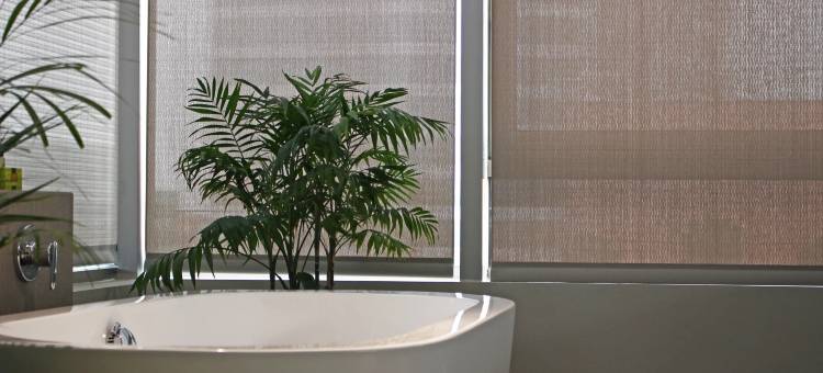 InterContinental Hotels 圣地亚哥(InterContinental Hotels Santiago)图片