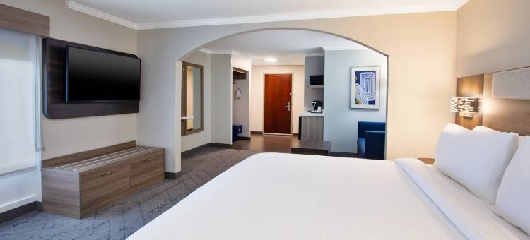 萨姆特智选假日酒店及套房(Holiday Inn Express & Suites Sumter)图片