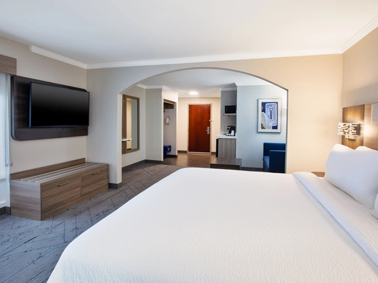 萨姆特智选假日酒店及套房