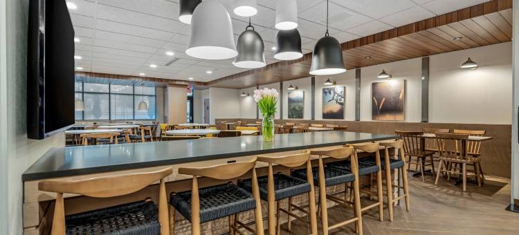 北康威万枫套房酒店(Fairfield Inn & Suites North Conway)图片