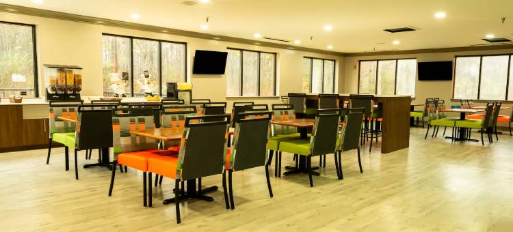 威廉斯堡布希花园区温德姆花园酒店(Wyndham Garden Williamsburg Busch Gardens Area)图片