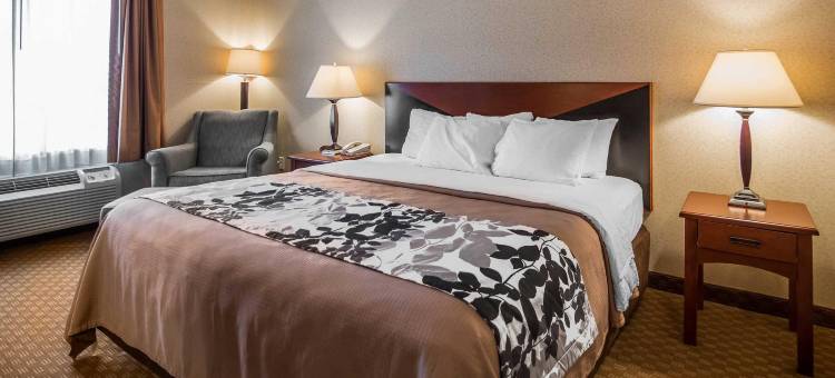 罗德威套房旅馆(Rodeway Inn & Suites)图片