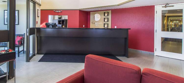 舒适酒店(Comfort Inn)图片