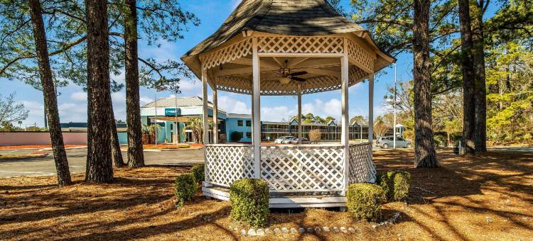 克拉丽奥套房酒店(Clarion Inn & Suites)图片