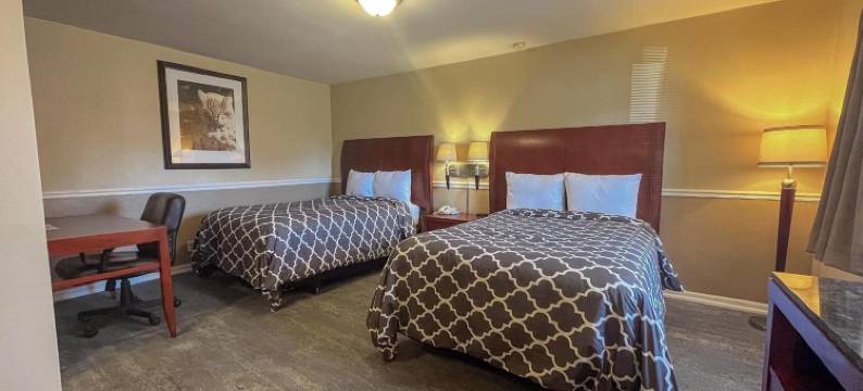 罗克福德高山假日酒店和套房(Alpine Inn & Suites Rockford)图片