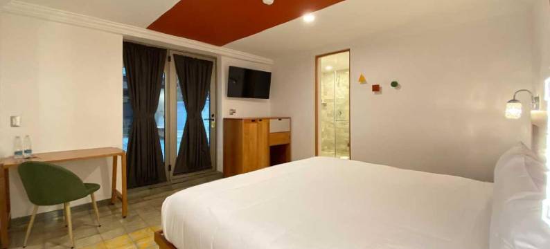 康德萨MX酒店(Hotel MX condesa)图片