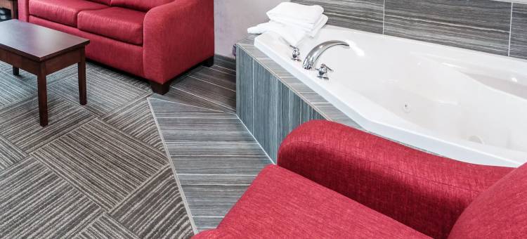 穆斯乔温德姆华美达酒店(Ramada by Wyndham Moose Jaw)图片