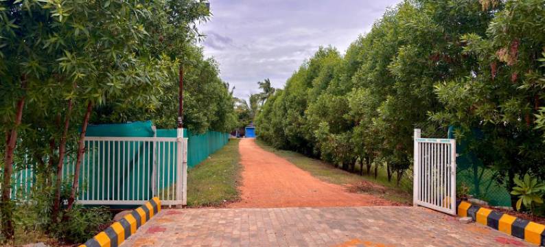 Chandana Green View Resort图片