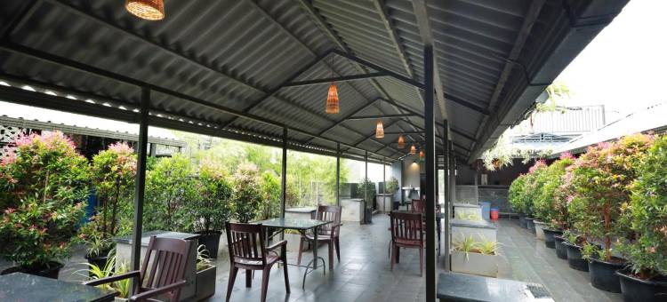 梅奥酒店(Hotel Mayo)图片