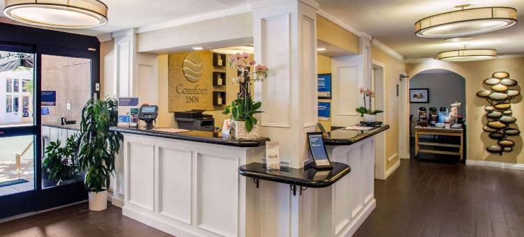 盖斯兰姆普会议中心舒适酒店(Comfort Inn Gaslamp Convention Center)图片