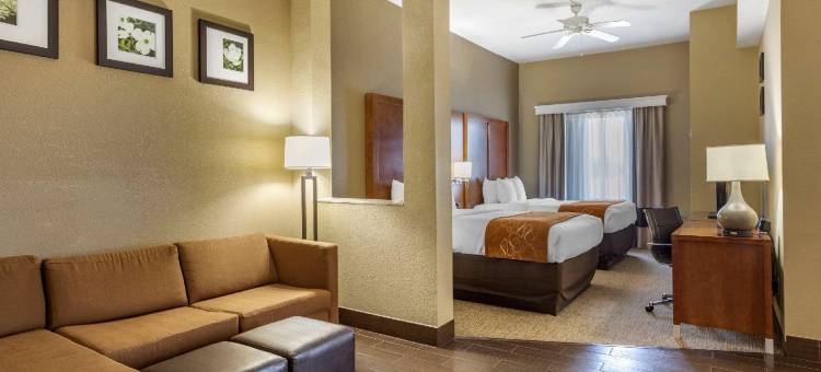 舒适套房酒店(Comfort Suites Batesville)图片