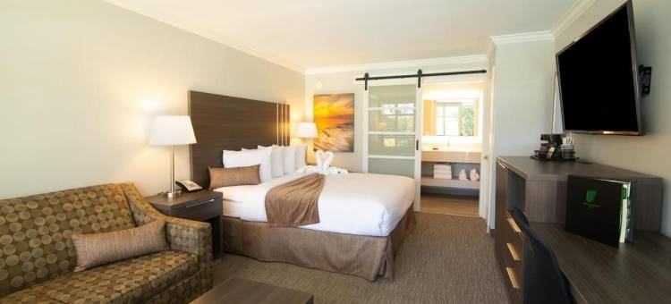 棕榈树花园酒店(Palm Garden Hotel)图片