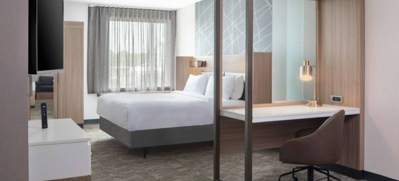 哥伦比亚近杰克逊堡万豪春丘酒店(SpringHill Suites Columbia Near Fort Jackson)图片