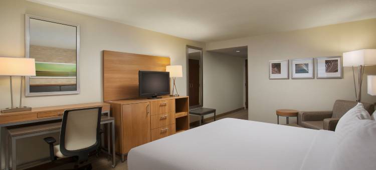 Holiday Inn 大急流城- 机场(Holiday Inn Grand Rapids - Airport)图片