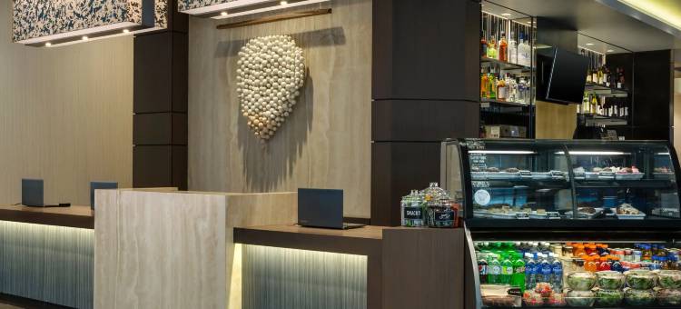 凯悦嘉轩酒店-芝加哥市中心-卢普区(Hyatt Place Chicago/Downtown - the Loop)图片