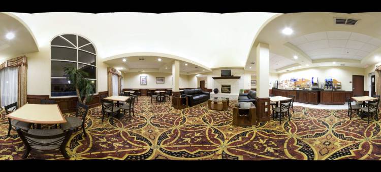 智选假日套房酒店韦斯拉科(Holiday Inn Express & Suites Weslaco)图片