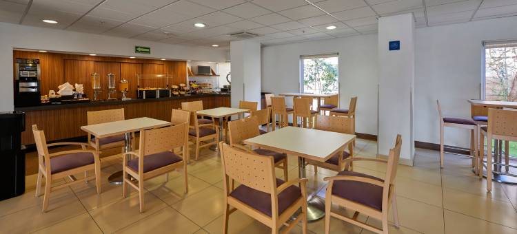 诺加利斯城市快捷酒店(City Express by Marriott Nogales)图片