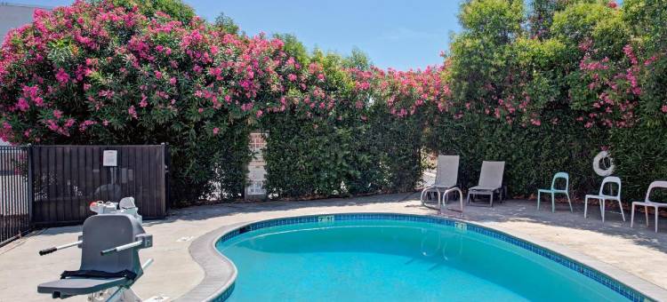 萨克拉门托-弗罗林路速8酒店(Super 8 by Wyndham Sacramento/Florin Rd)图片