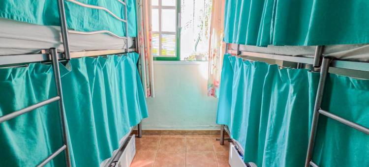 竞技场巢穴旅馆(Arena Nest Hostel)图片