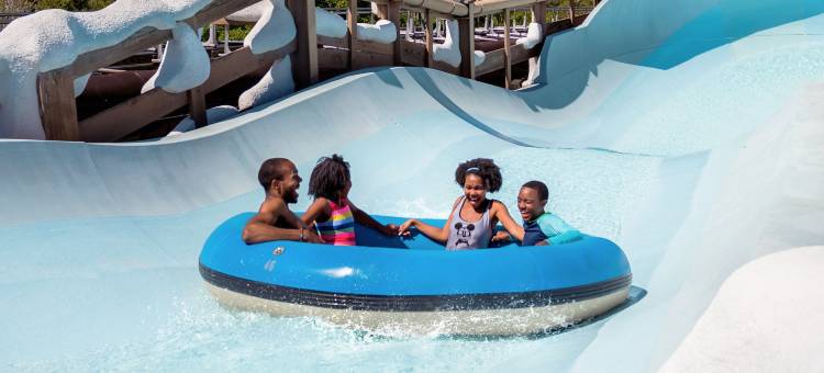 奥兰多弗拉明戈过境镇中心/西入口TownePlace套房酒店(TownePlace Suites Orlando at FLAMINGO CROSSINGS® Town Center/Western Entrance)图片