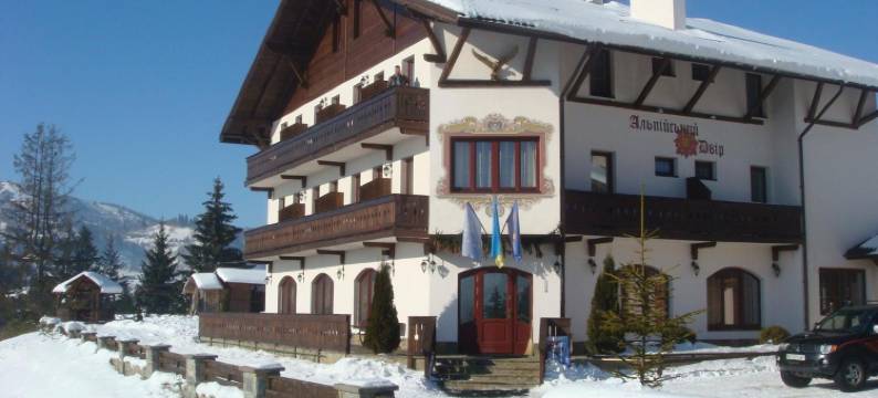 阿尔彭多夫潘申酒店(Alpenhof Pansion)图片