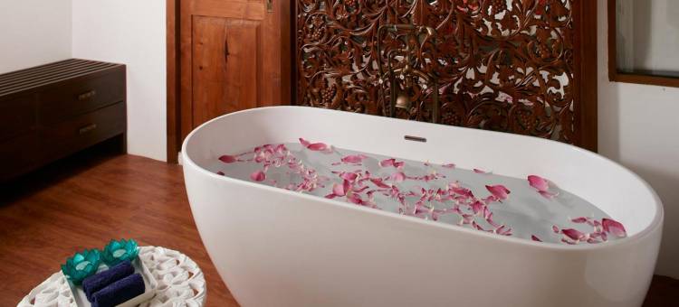 科伦坡DAE水上屋-由DAE管理(Houseboats By DAE Colombo)图片