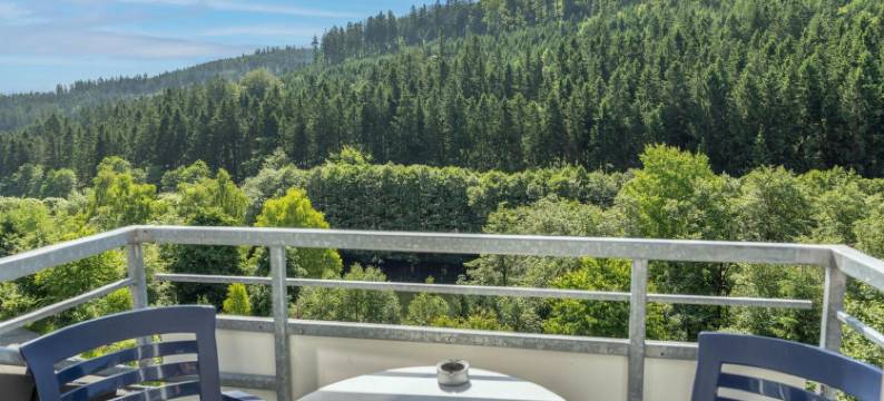 希伊瓦尔德酒店(Waldhaus am See)图片