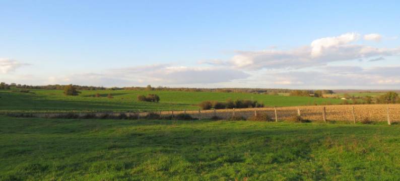 安珠田庄住宿加早餐旅馆(Grange d'Anjeux Bed & Breakfast)图片