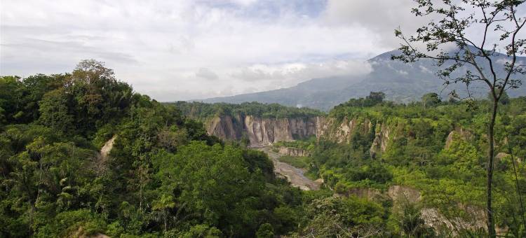 利马酒店(Lima's Hotel)图片