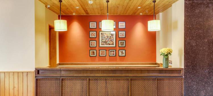 Club Mahindra Janjehli图片