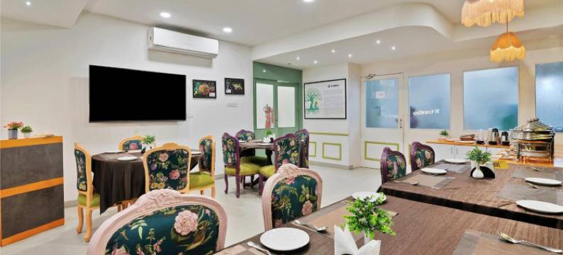 Treebo Moon Waalk, Patia图片