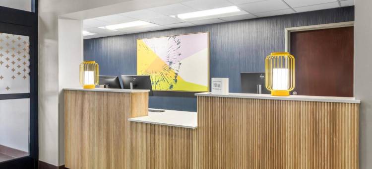 Spark休斯敦加勒里亚购物中心酒店by Hilton(Spark by Hilton Houston Near the Galleria)图片