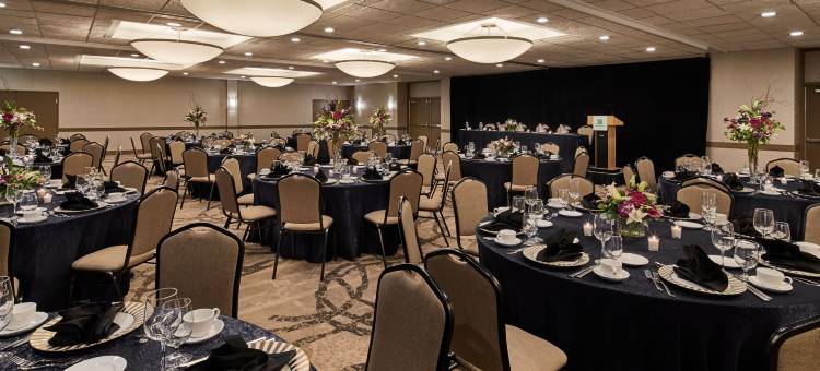 亚历山德里亚凯雷假日酒店(Holiday Inn Alexandria - Carlyle)图片