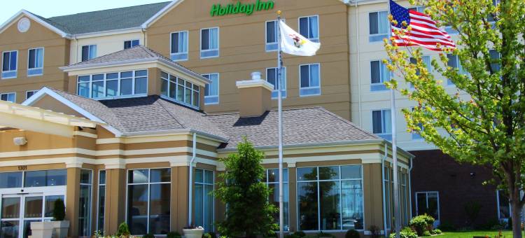 埃芬汉假日酒店(Holiday Inn Effingham)图片