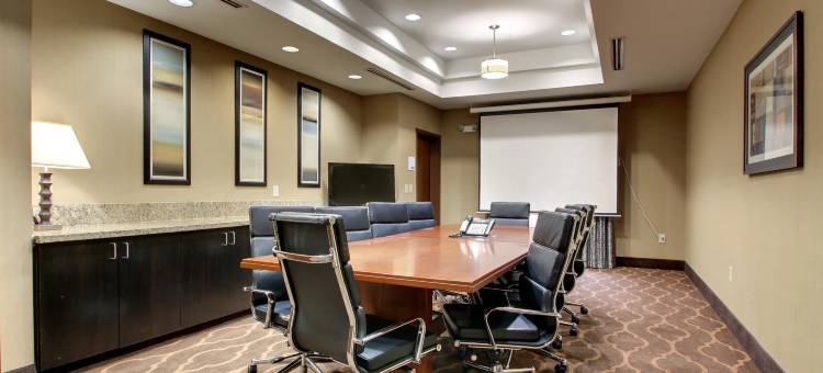 智选假日套房酒店纳奇兹南西(Holiday Inn Express & Suites Natchez South)图片